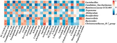 San-Huang-Yi-Shen Capsule Ameliorates Diabetic Nephropathy in Rats Through Modulating the Gut Microbiota and Overall Metabolism